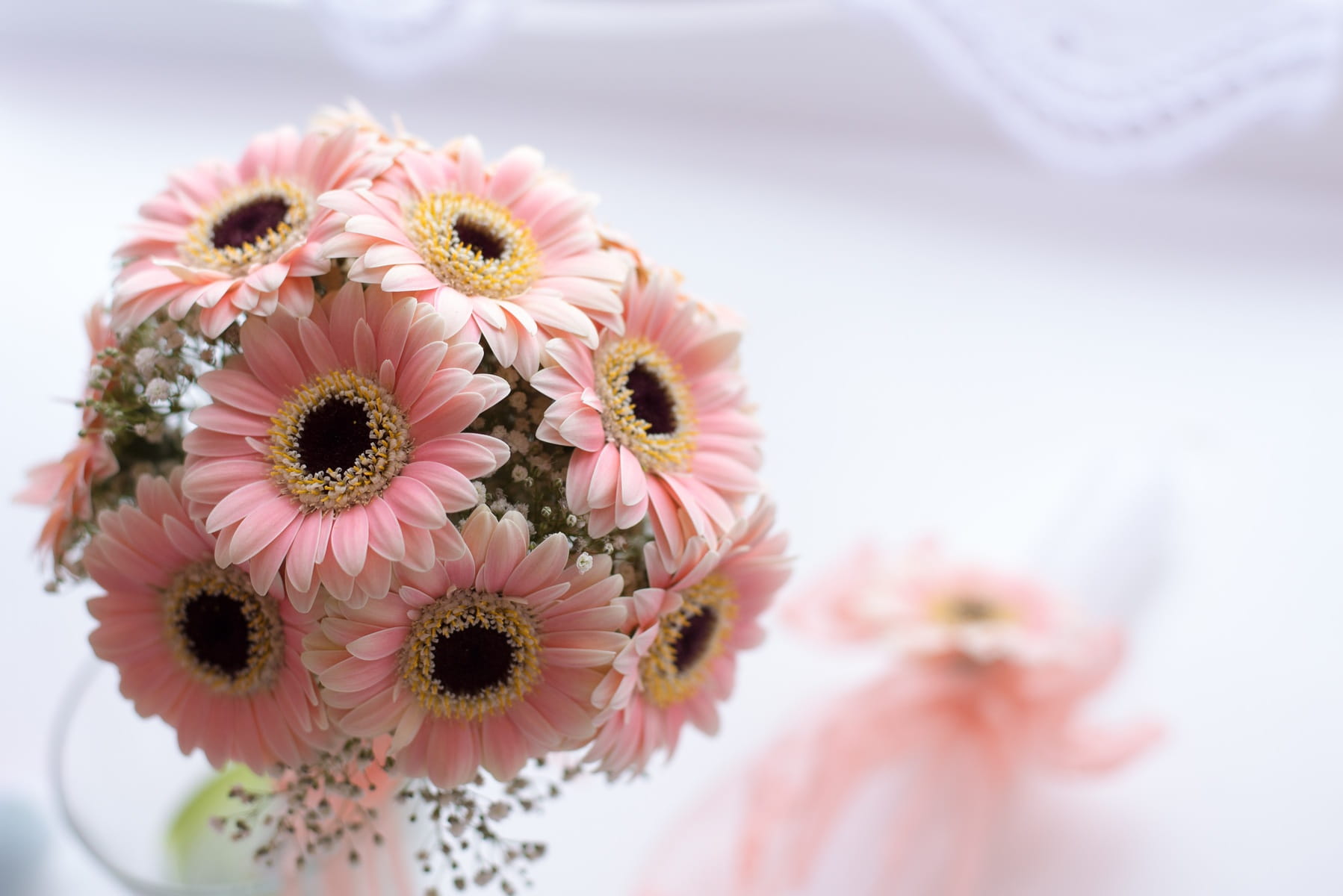 Beauty & Personal Care